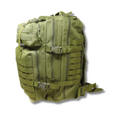 Combo 3-Day Assault & Hydration Pack - OD Green